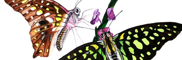 yashada Profile Banner