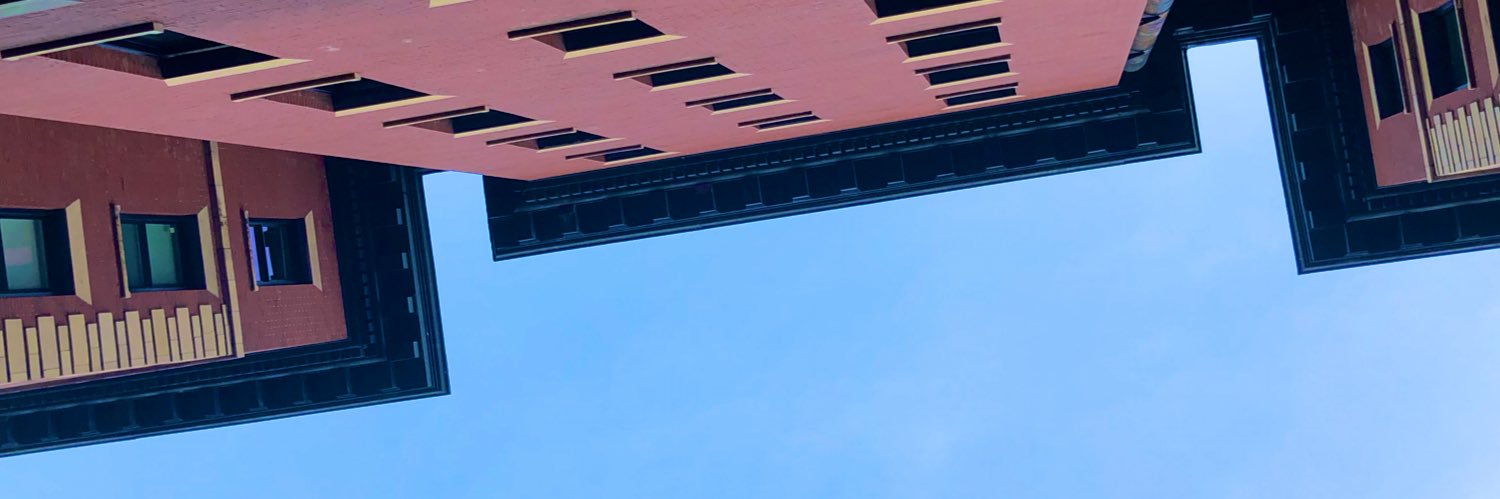 yourlocalrican's profile banner image
