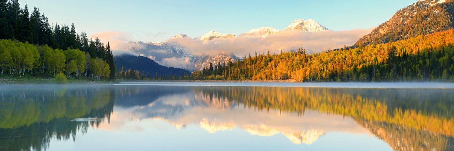 Intrinsic Investing banner