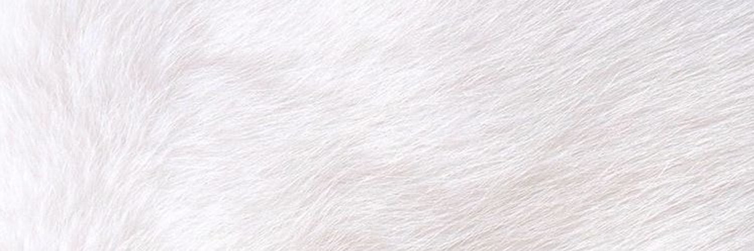 shxikham's profile banner image