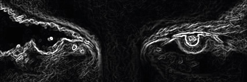 ArmandoSolheiro's profile banner image