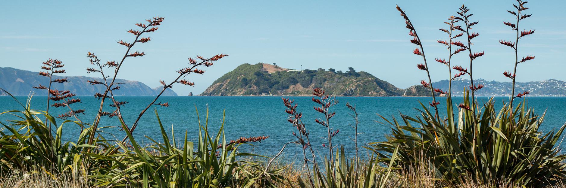 PetoneBeach's profile banner image