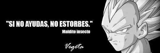 nery_duarte's profile banner image