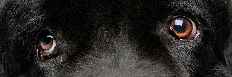 Twitter banner for @stamenko