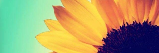 Twinn_96's profile banner image