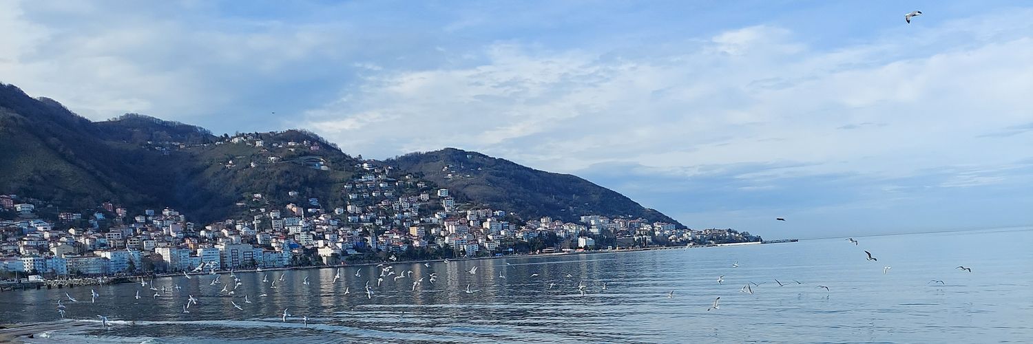 Eslemozyurek's profile banner image