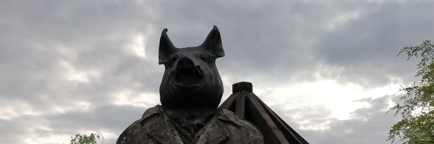 SkylerChase's profile banner image