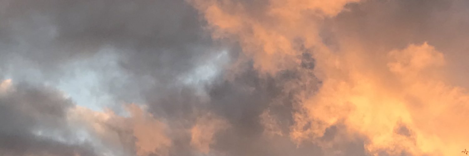 eylemyz's profile banner image
