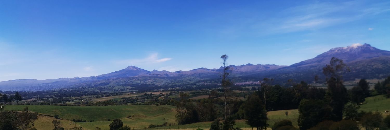 MChenas's profile banner image