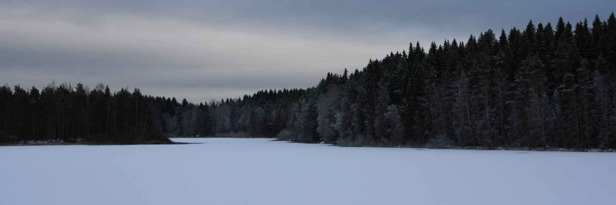 AlbaAlbert_'s profile banner image