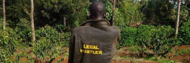 KiamuthoniDavid's profile banner image