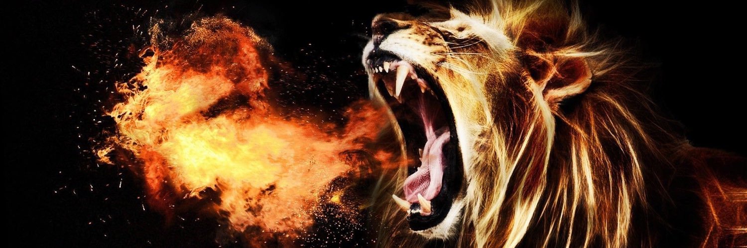 AlEWcat's profile banner image