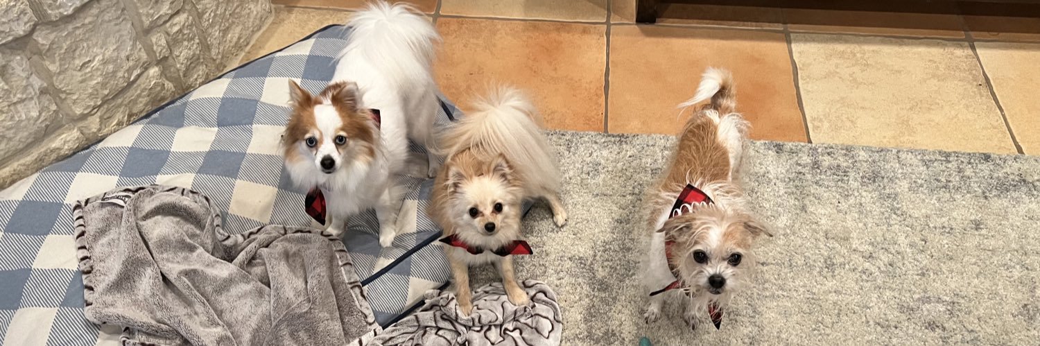 Danielle Podrazik banner