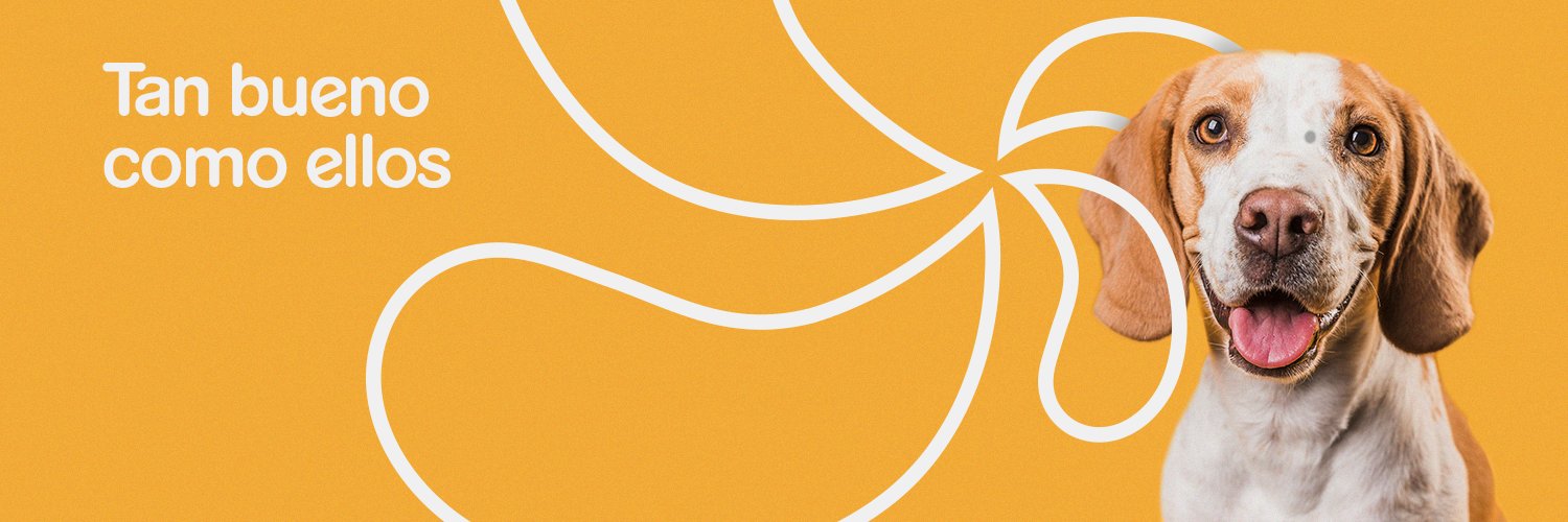 Pedigree ES banner