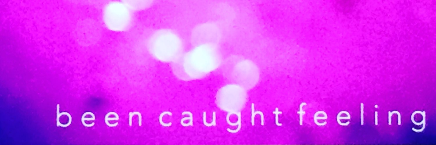 theSkatingParty banner