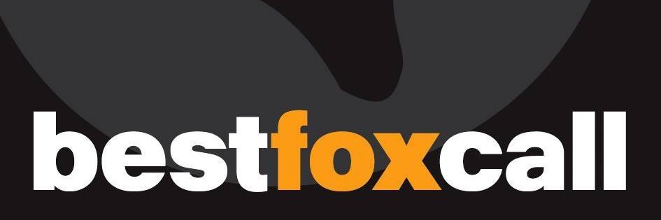BestFoxCall's profile banner image