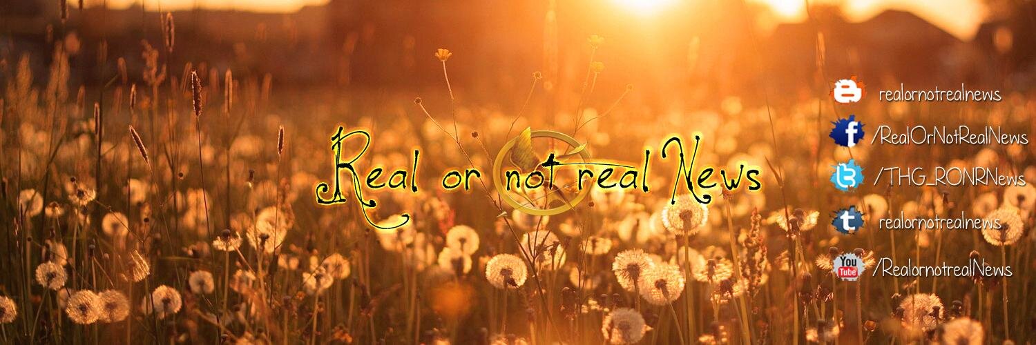 THG_RONRNews's profile banner image