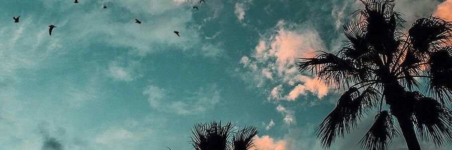 Dayt2k's profile banner image