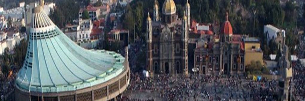 ColibriOtilio's profile banner image