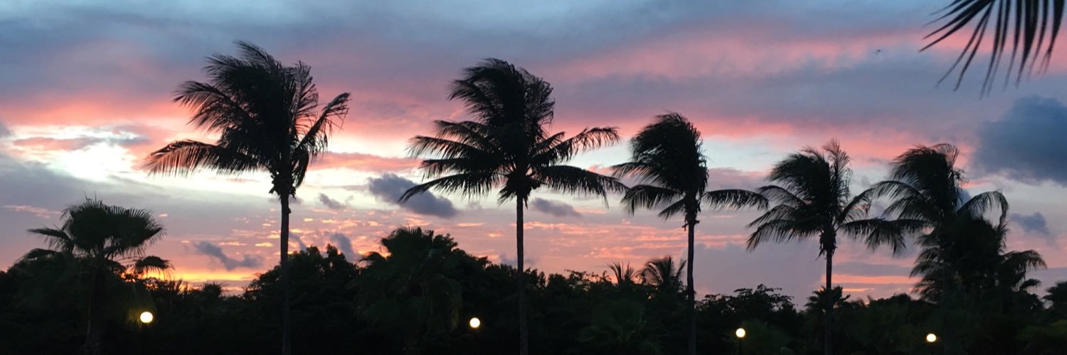 MorganHein4's profile banner image