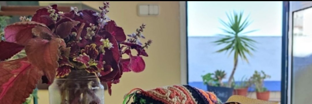 cecili47's profile banner image