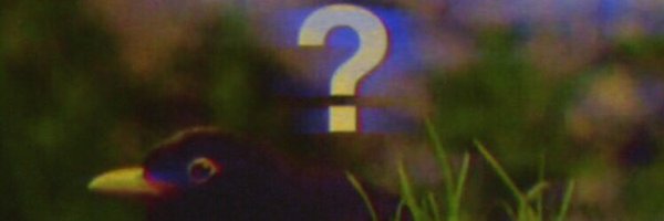 X_tinek Profile Banner