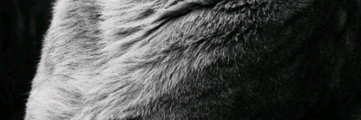 I_am_JOHN banner