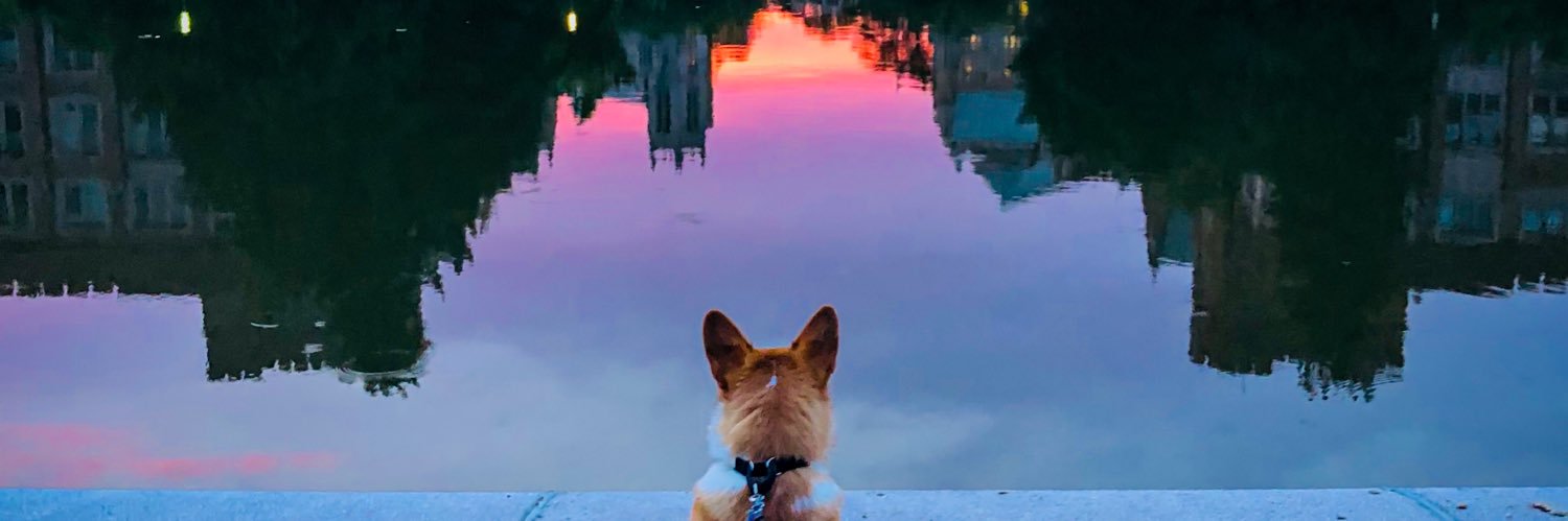 Colorlesscrow's profile banner image