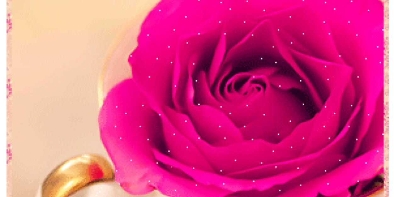 nkr199's profile banner image