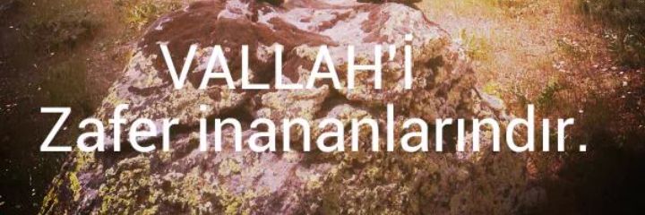 GulsumAtaoglu's profile banner image