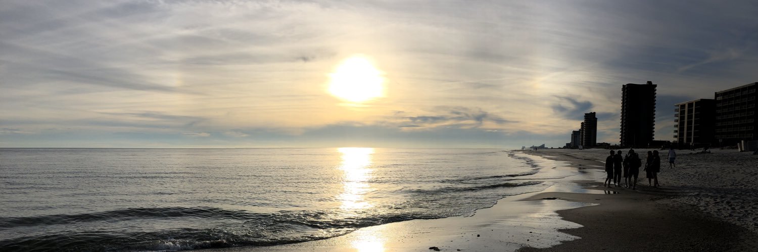 gracbuschh's profile banner image