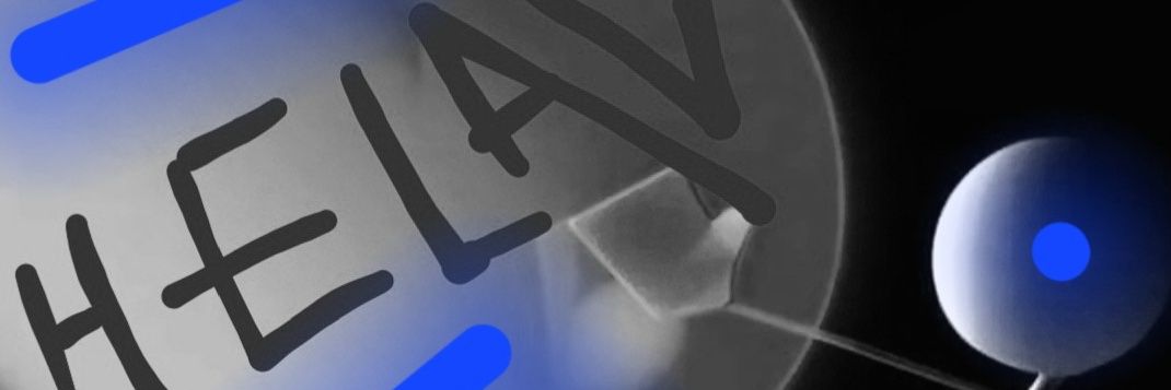 swimer47's profile banner image
