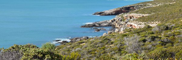 cpelkas Profile Banner