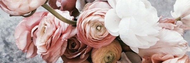 tisanes's profile banner image