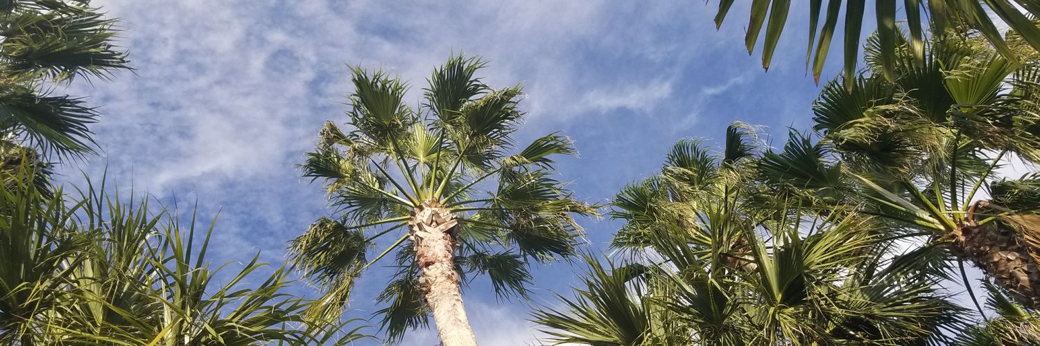 traderfro's profile banner image