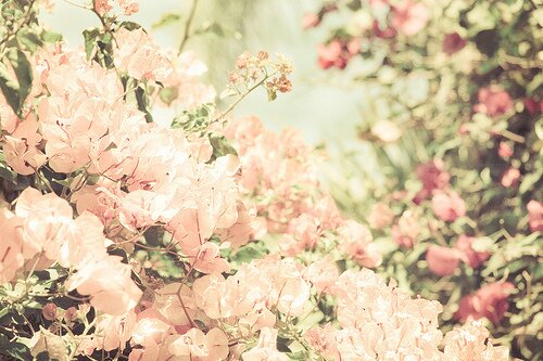 LyanRL's profile banner image