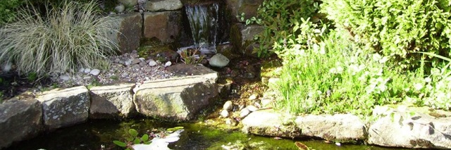 canmjpr267's profile banner image