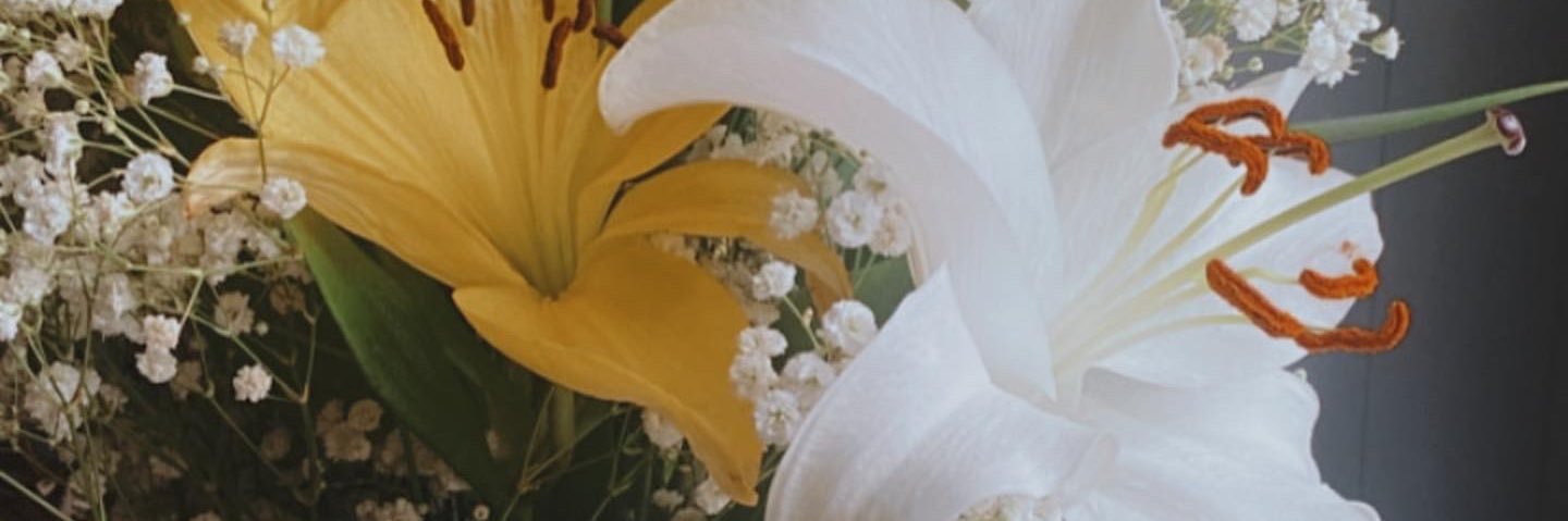 shaeedaugherty's profile banner image