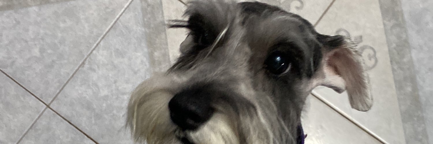 Salvador Cabrera 🛵 banner