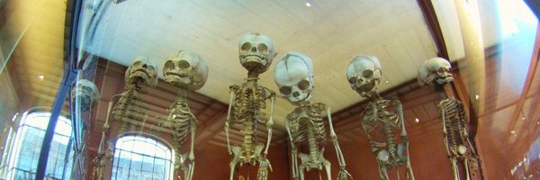 chanksleroux Profile Banner