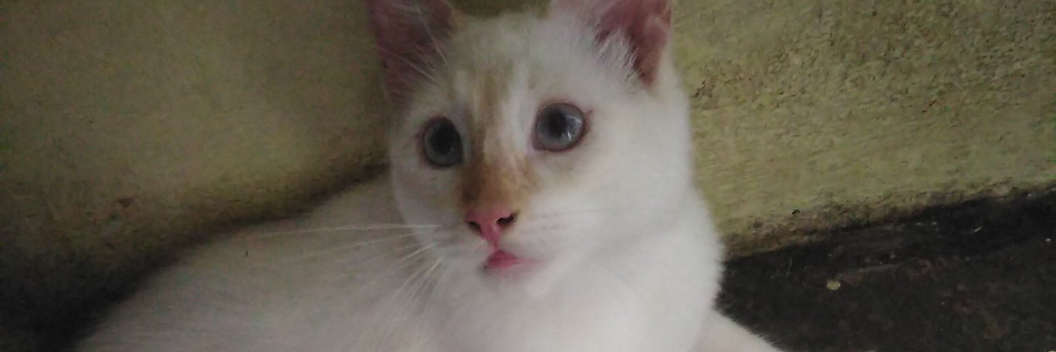 jcazz22's profile banner image