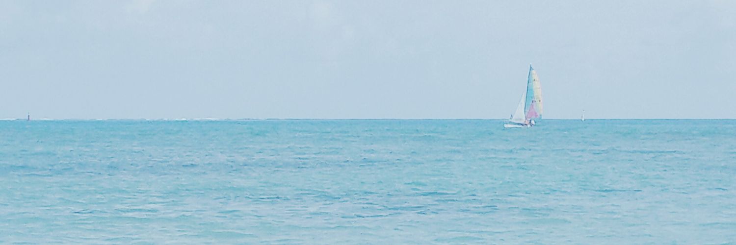 arce_pao's profile banner image