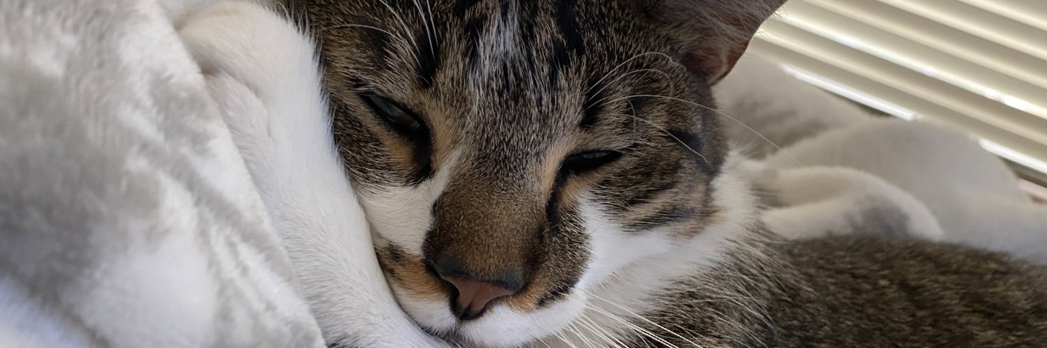ashleylogsdonn's profile banner image