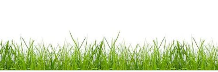 PedroFerrerFra2's profile banner image