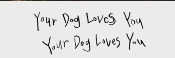 pav♡ banner