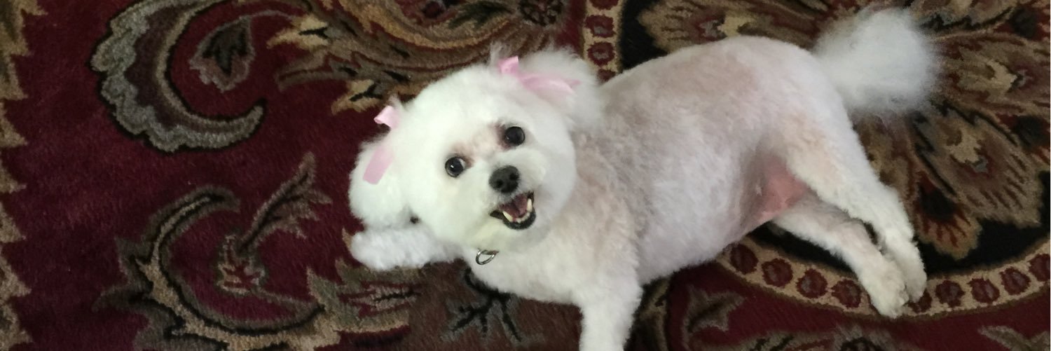 debbielogsdon19's profile banner image