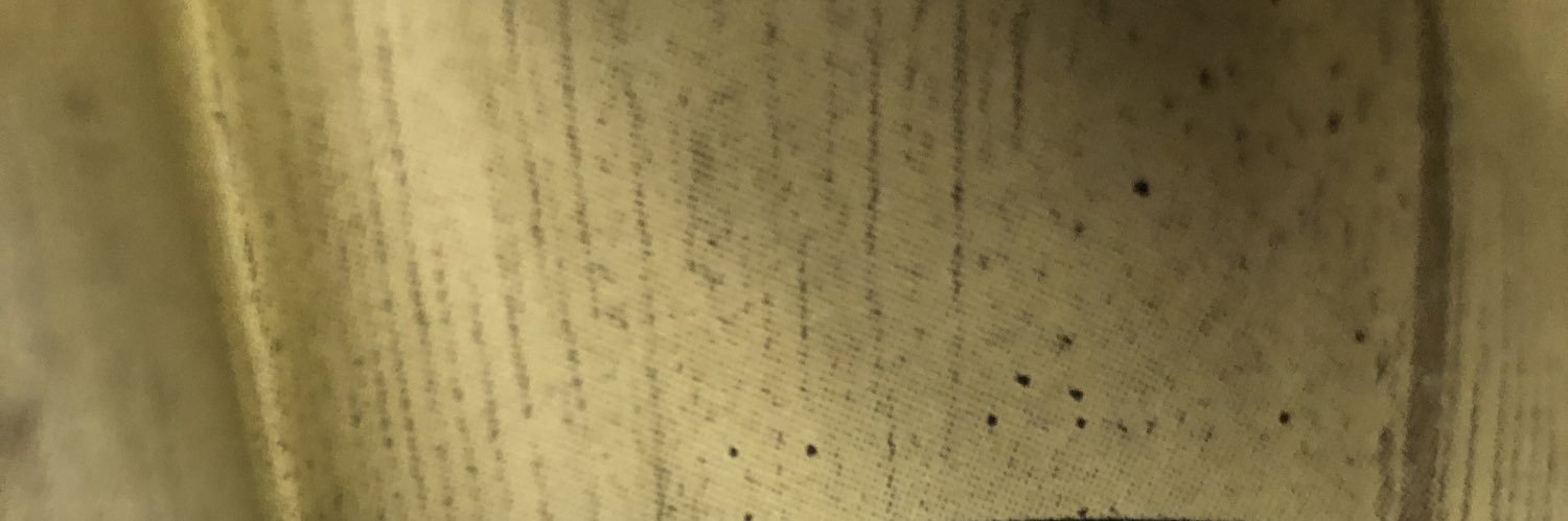 allfactsssss's profile banner image