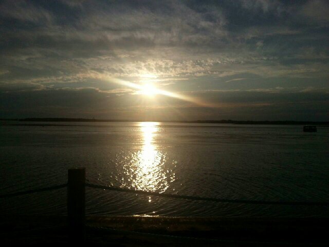 Manon Richardson banner