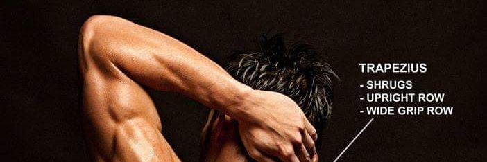 ProfSucker's profile banner image