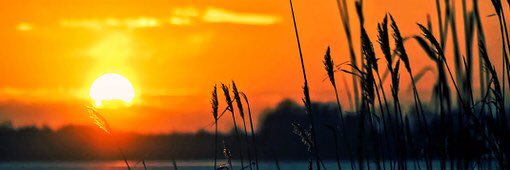 8_angi's profile banner image